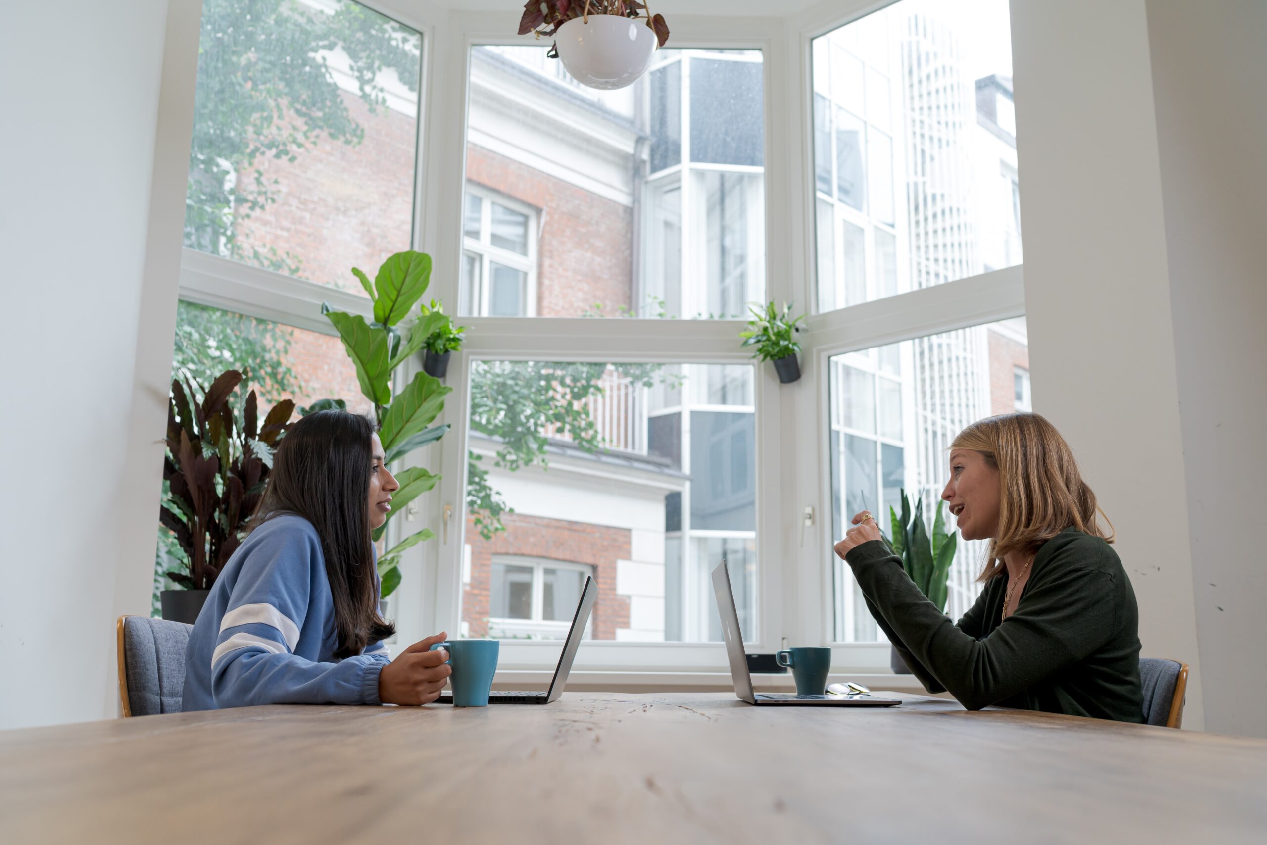 Two women sitting at a wooden table with laptops and coffee cups, engaged in a conversation in the office with large windows.
